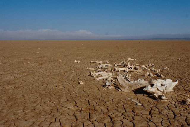 Jumping On The&nbsp;Blogwagon